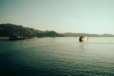 galeri komodo 4